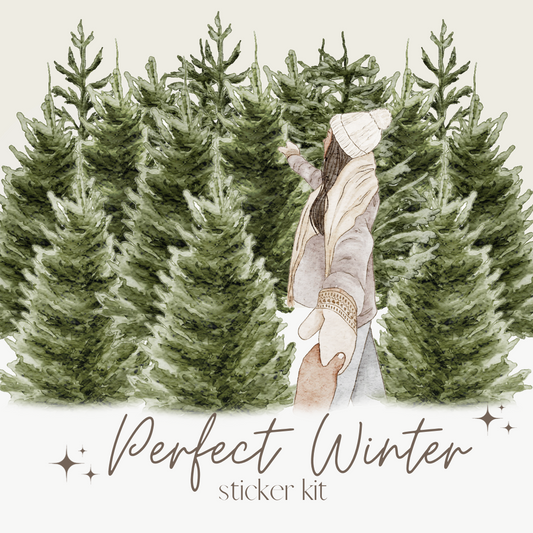 *RESTOCK* Perfect Winter Kit