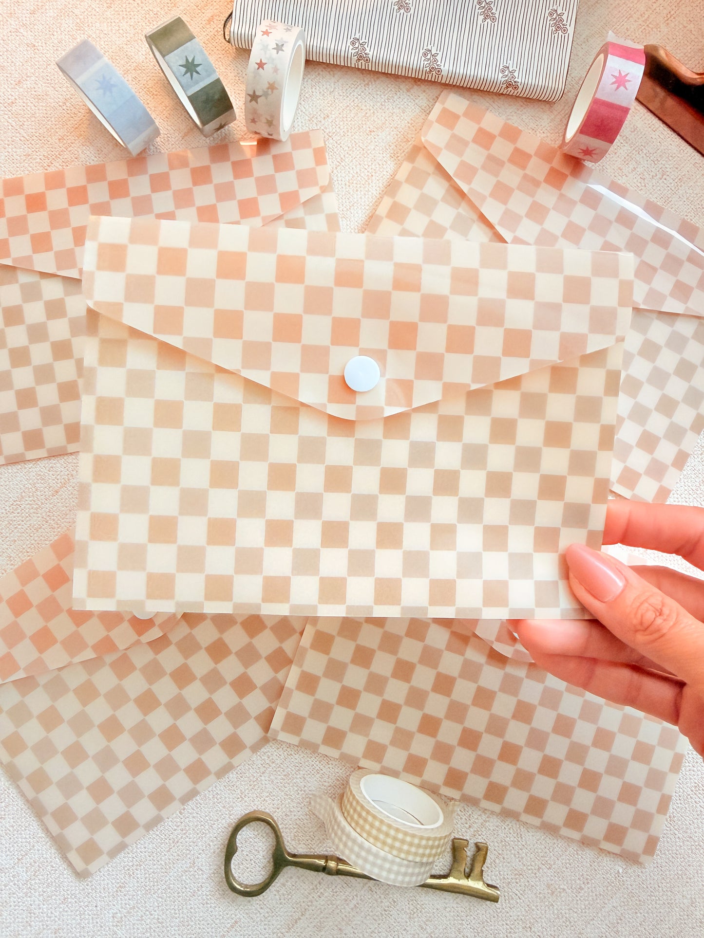 Nude Ombre Grid Snap Pouch