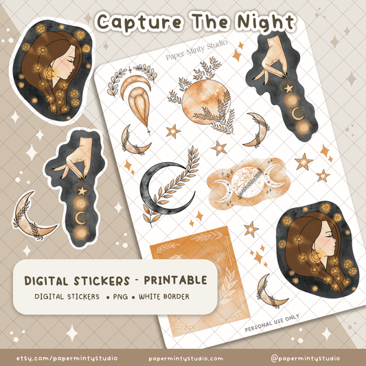 Printable Sticker Sheet Capture The Night